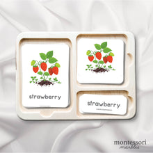 Load image into Gallery viewer, Strawberry Life Cycle

