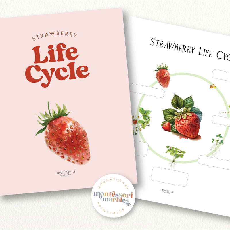 Strawberry Life Cycle