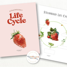 Load image into Gallery viewer, Strawberry Life Cycle
