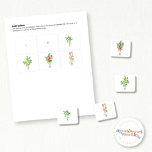 Load image into Gallery viewer, Tomato Life Cycle
