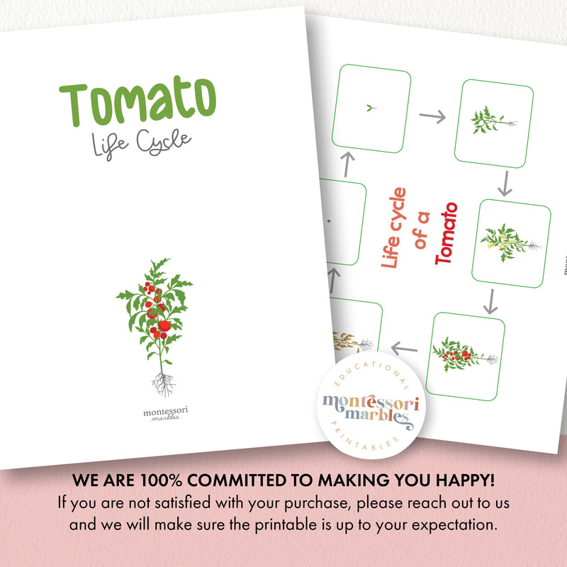 Tomato Life Cycle