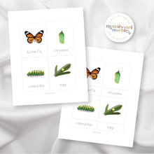 Load image into Gallery viewer, Butterfly Life Cycle
