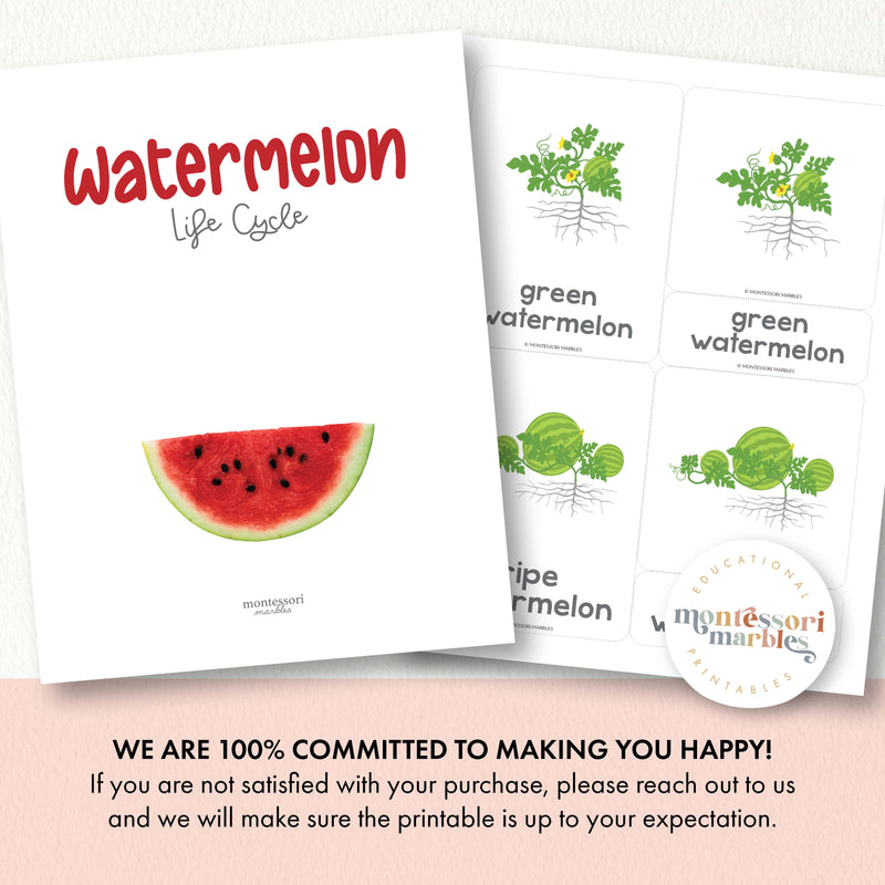 Watermelon Life Cycle