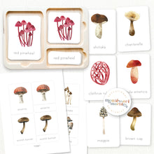 Load image into Gallery viewer, Mushrooms &amp; Fungi Activity Bundle
