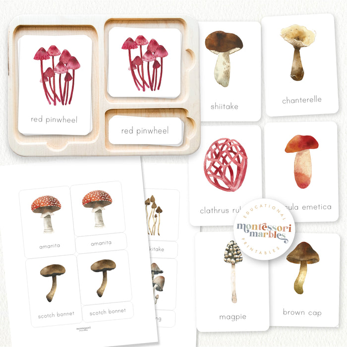 Mushrooms & Fungi Activity Bundle