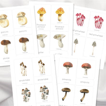 Load image into Gallery viewer, Mushroom Nomenclature Cards
