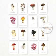 Load image into Gallery viewer, Mushroom Nomenclature Cards
