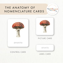 Load image into Gallery viewer, Mushrooms &amp; Fungi Activity Bundle
