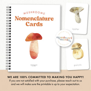 Mushroom Nomenclature Cards