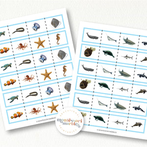 Ocean Animals Mini Bundle