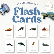 Ocean animals flash cards with real photos — Montessori vocabulary, ages 3-6