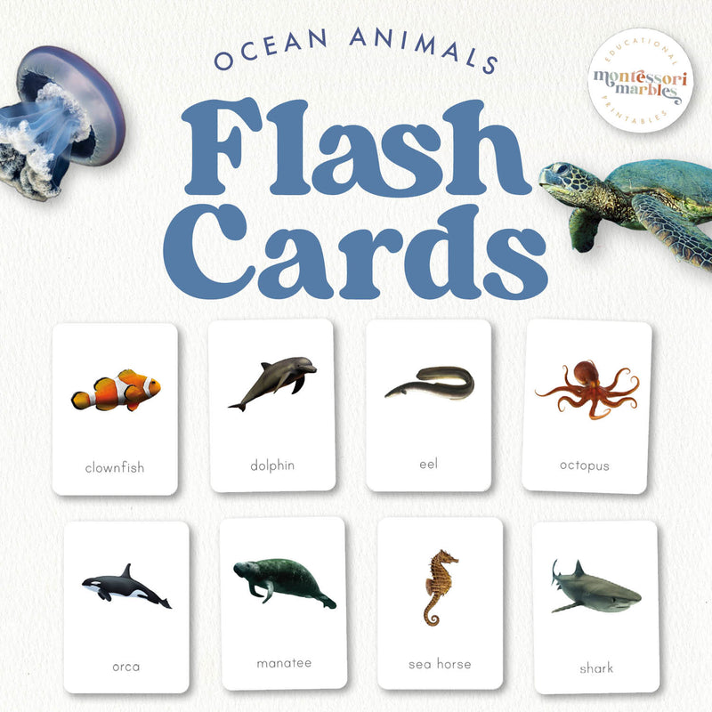 Ocean animals flash cards with real photos — Montessori vocabulary, ages 3-6