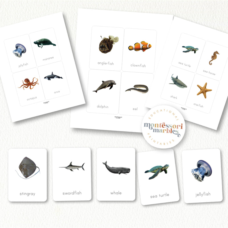 Ocean Animals Flash Cards