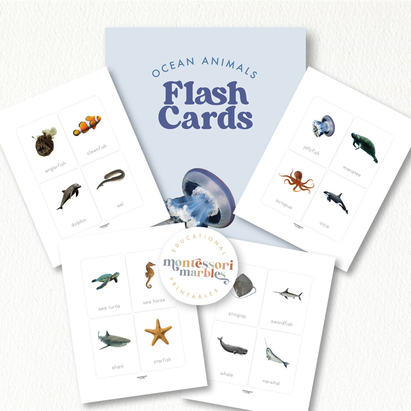 Ocean Animals Flash Cards