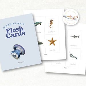 Ocean Animals Flash Cards
