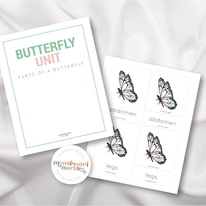 Parts of a Butterfly Nomenclature Cards