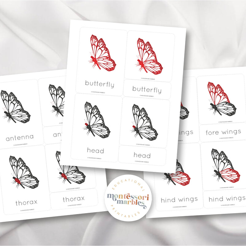 Parts of a Butterfly Nomenclature Cards