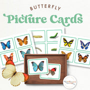 Butterfly picture cards showing insect varieties—spring insects and nature exploration