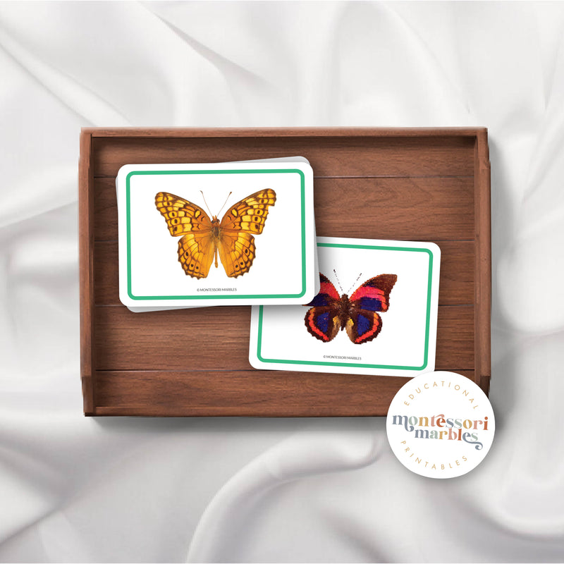 Butterfly Picture Cards