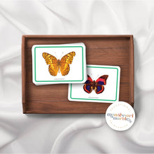 Load image into Gallery viewer, Butterfly Picture Cards
