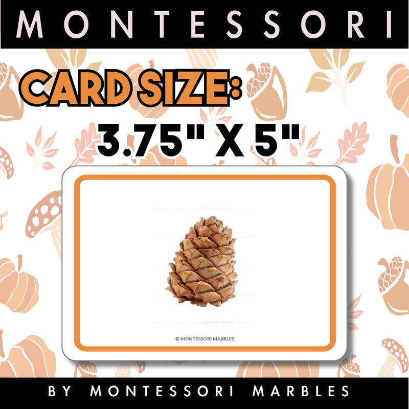 Fall Picture Cards