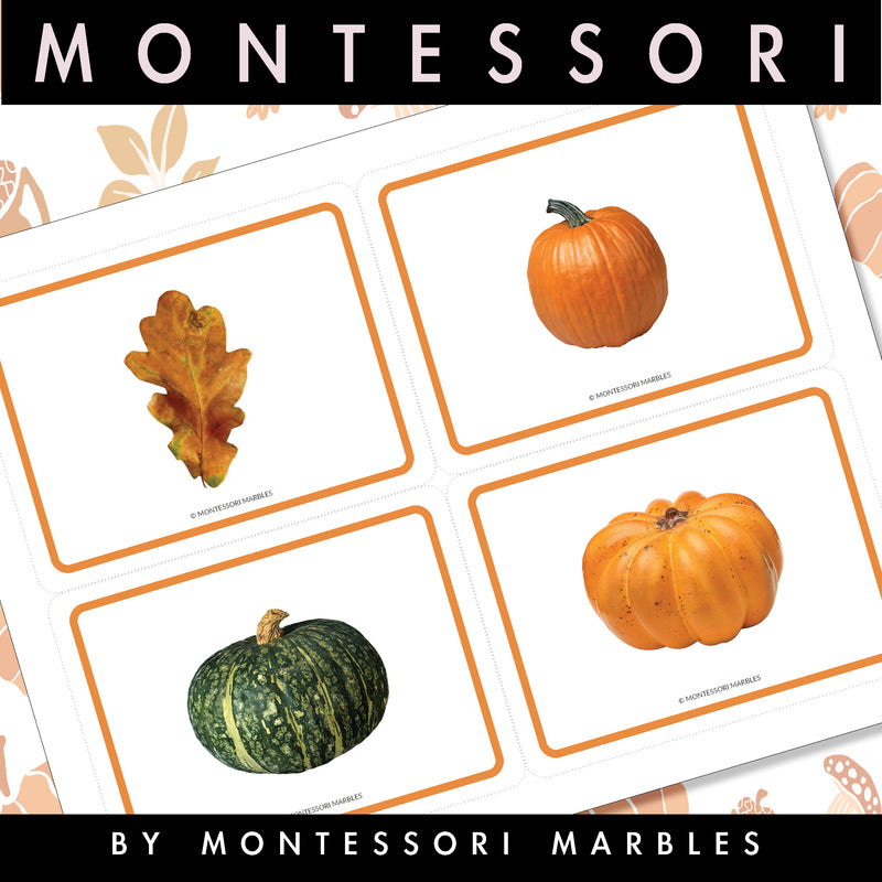 Fall Picture Cards