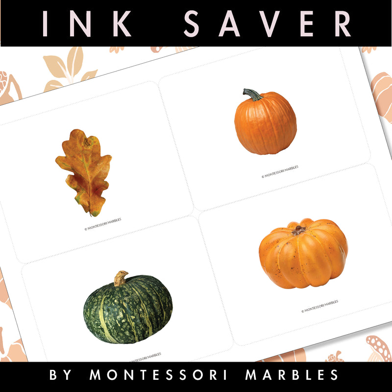 Fall Picture Cards