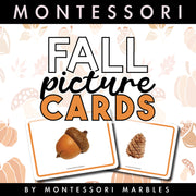 Autumn-themed picture cards for pattern matching activities