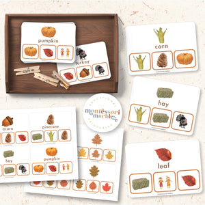 Thanksgiving & Fall Picture Matching Clip Cards