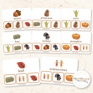 Thanksgiving & Fall Picture Matching Clip Cards