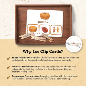 Thanksgiving & Fall Picture Matching Clip Cards