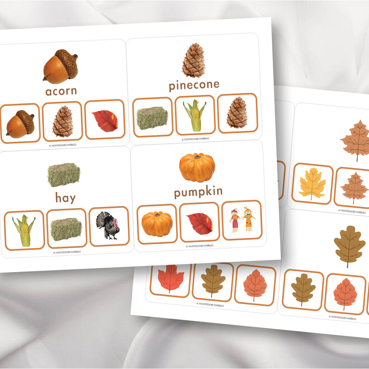 Thanksgiving & Fall Picture Matching Clip Cards – Montessori Marbles