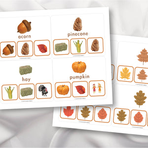 Thanksgiving & Fall Picture Matching Clip Cards