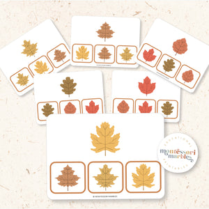 Thanksgiving & Fall Picture Matching Clip Cards