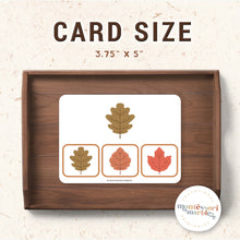 Load image into Gallery viewer, Thanksgiving &amp; Fall Picture Matching Clip Cards
