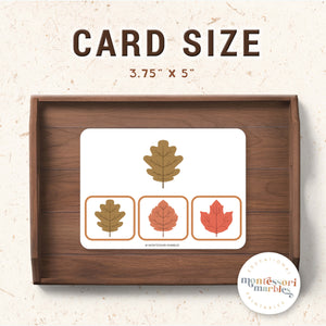 Thanksgiving & Fall Picture Matching Clip Cards