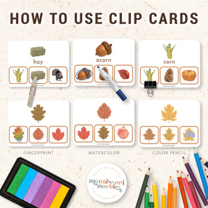 Thanksgiving & Fall Picture Matching Clip Cards