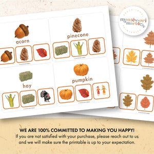 Thanksgiving & Fall Picture Matching Clip Cards