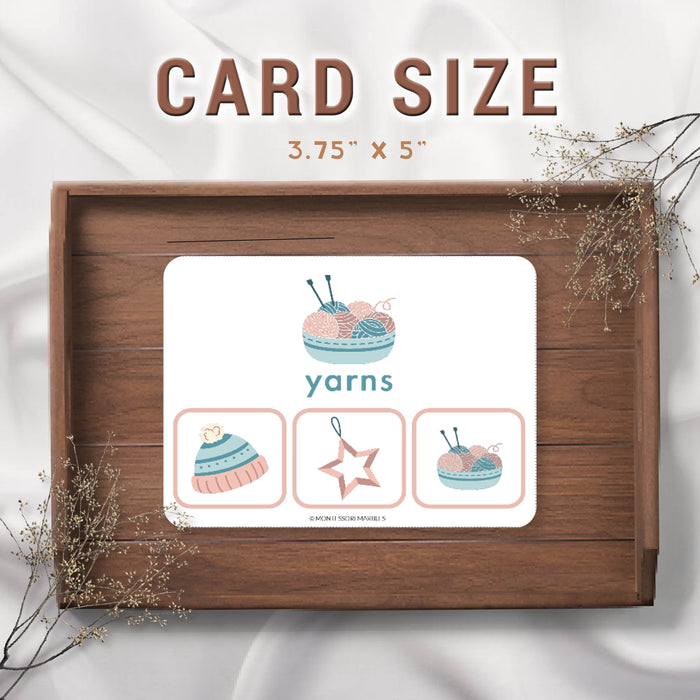 Winter Picture Matching Clip Cards