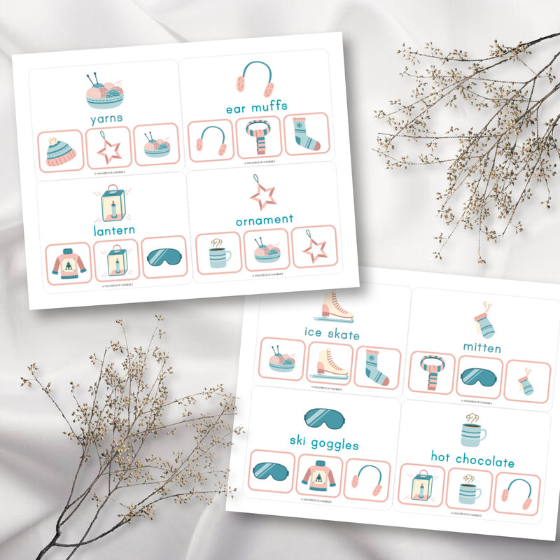 Winter Picture Matching Clip Cards