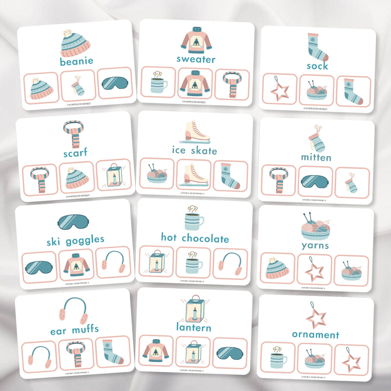 Winter Picture Matching Clip Cards