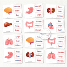 Load image into Gallery viewer, Human Organs Quiz Cards
