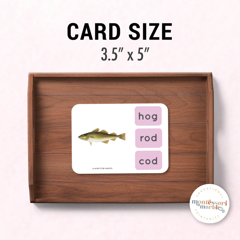 Montessori Pink Series Name the Objects Short O