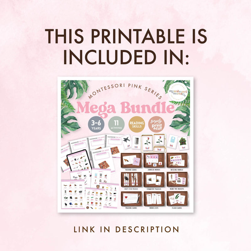 Montessori Pink Series Missing Vowels SHORT E