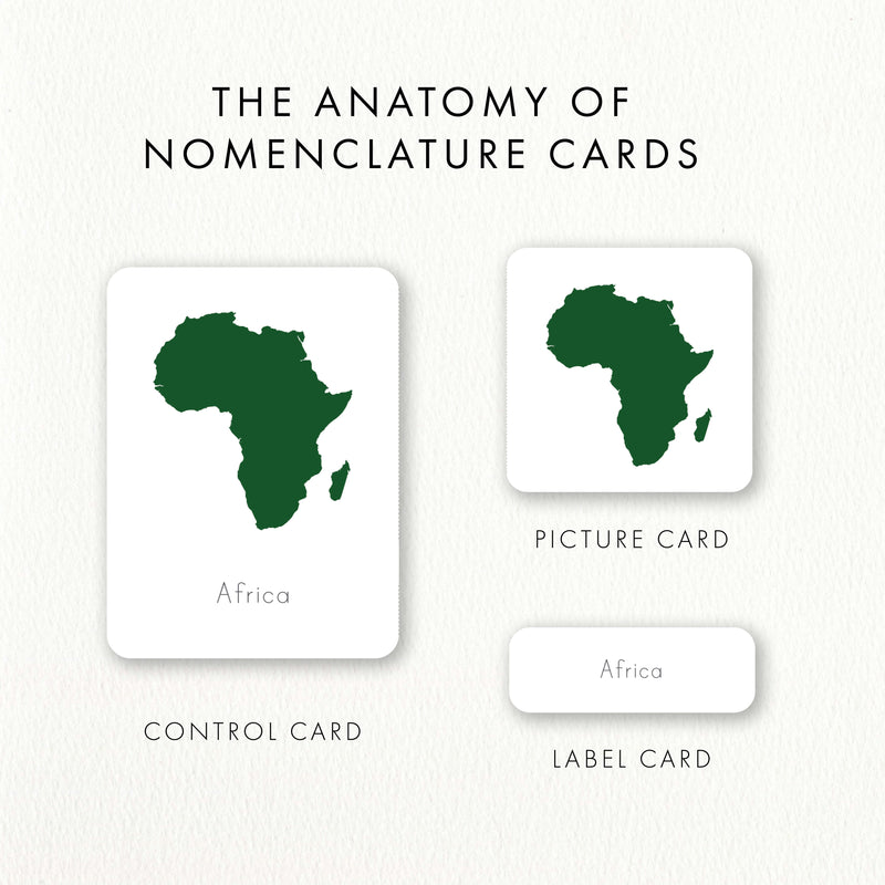 Continents Nomenclature Cards