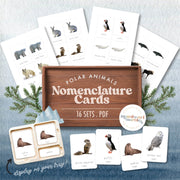 Arctic animals nomenclature cards for animal identification — ages 3-6