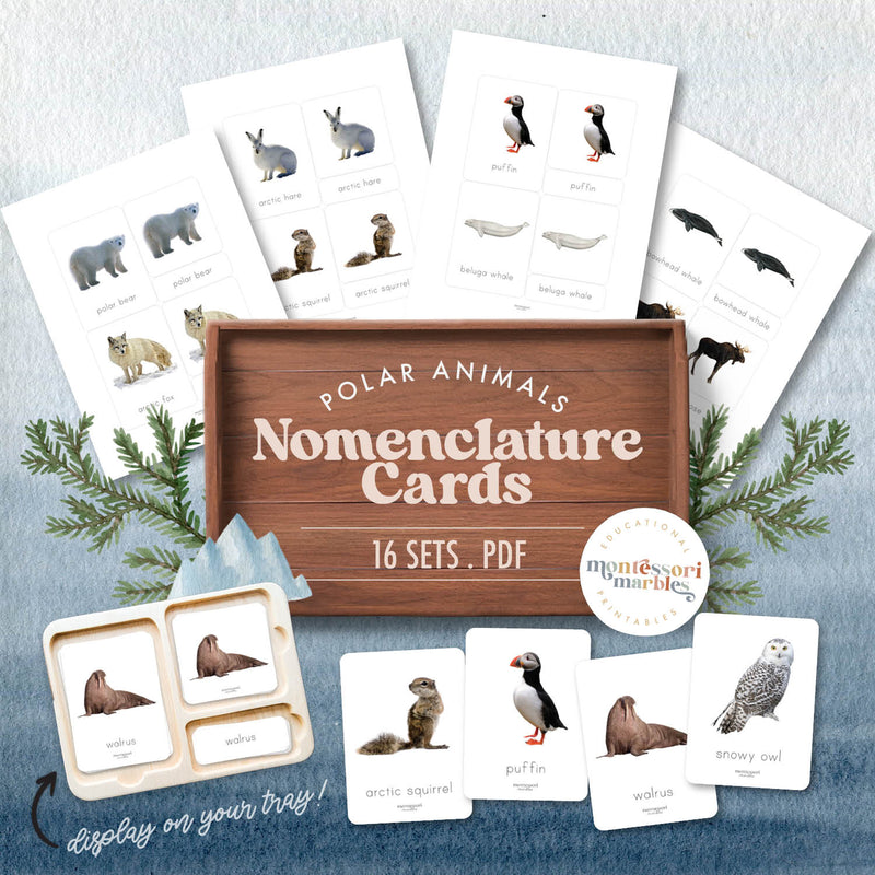 Arctic animals nomenclature cards for animal identification — ages 3-6