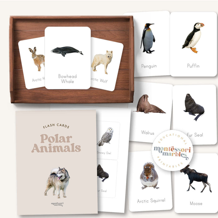 Polar Animals Flash Cards