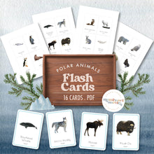 Load image into Gallery viewer, Polar Animals Flash Cards
