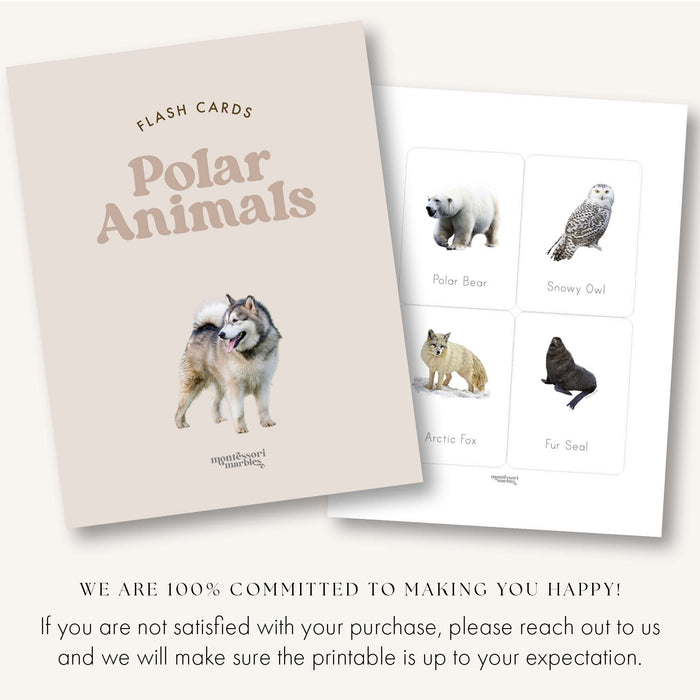 Polar Animals Flash Cards